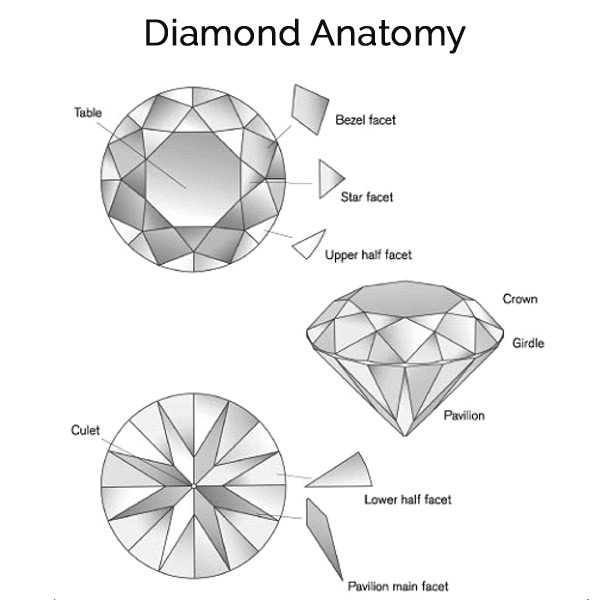 Diamond Anatomy